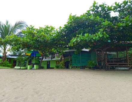 Cabana exterior with garden palm