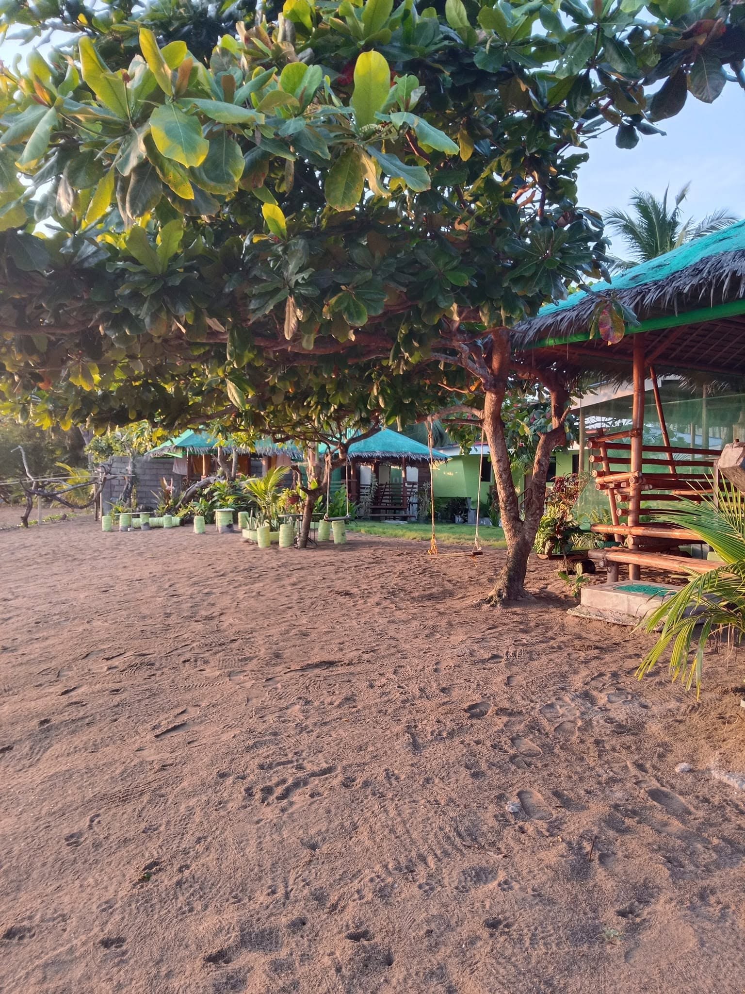 Quiet beach moment with red leaves