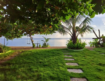 Beachside garden and palm
