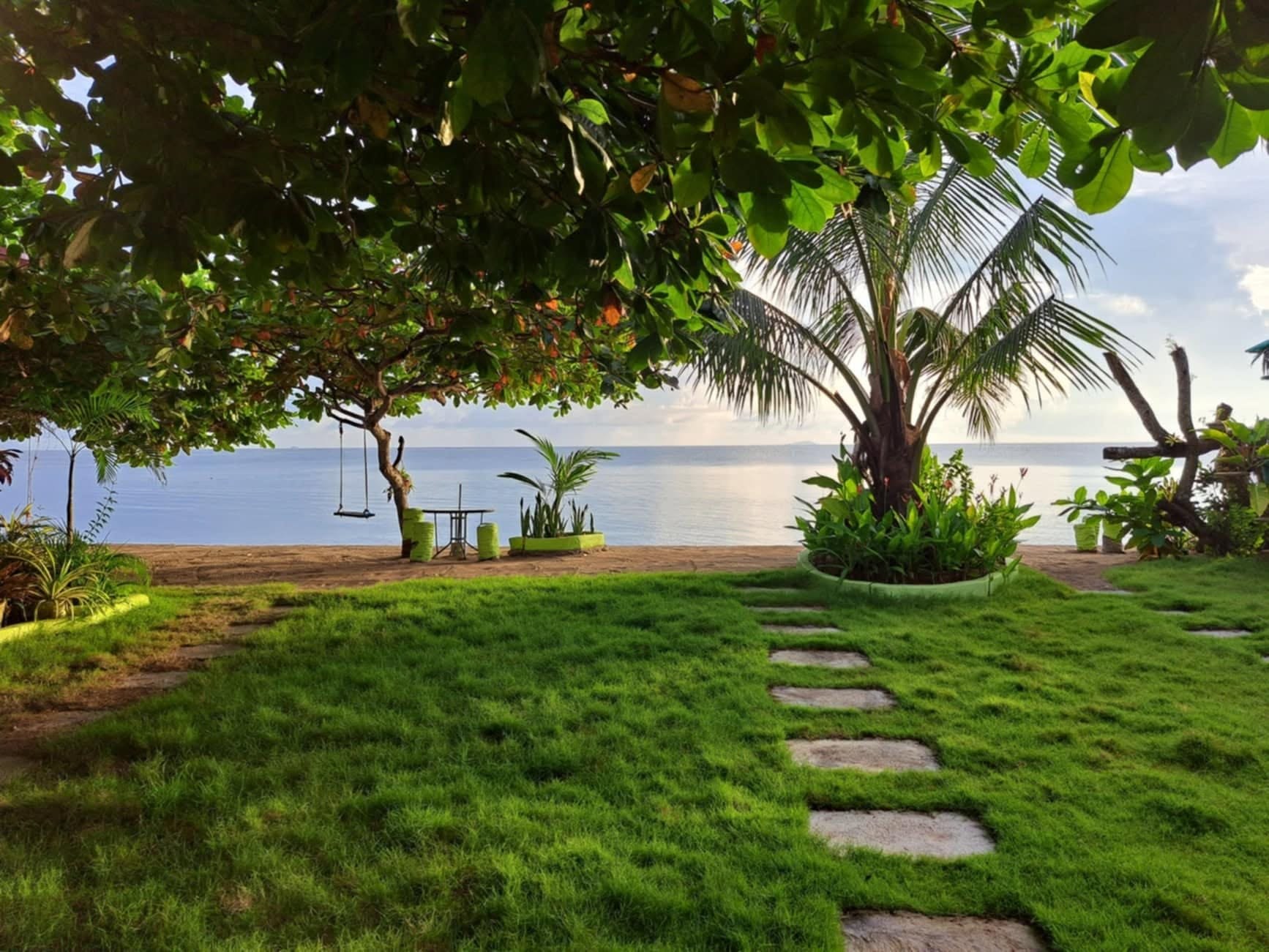 Beachside garden and palm
