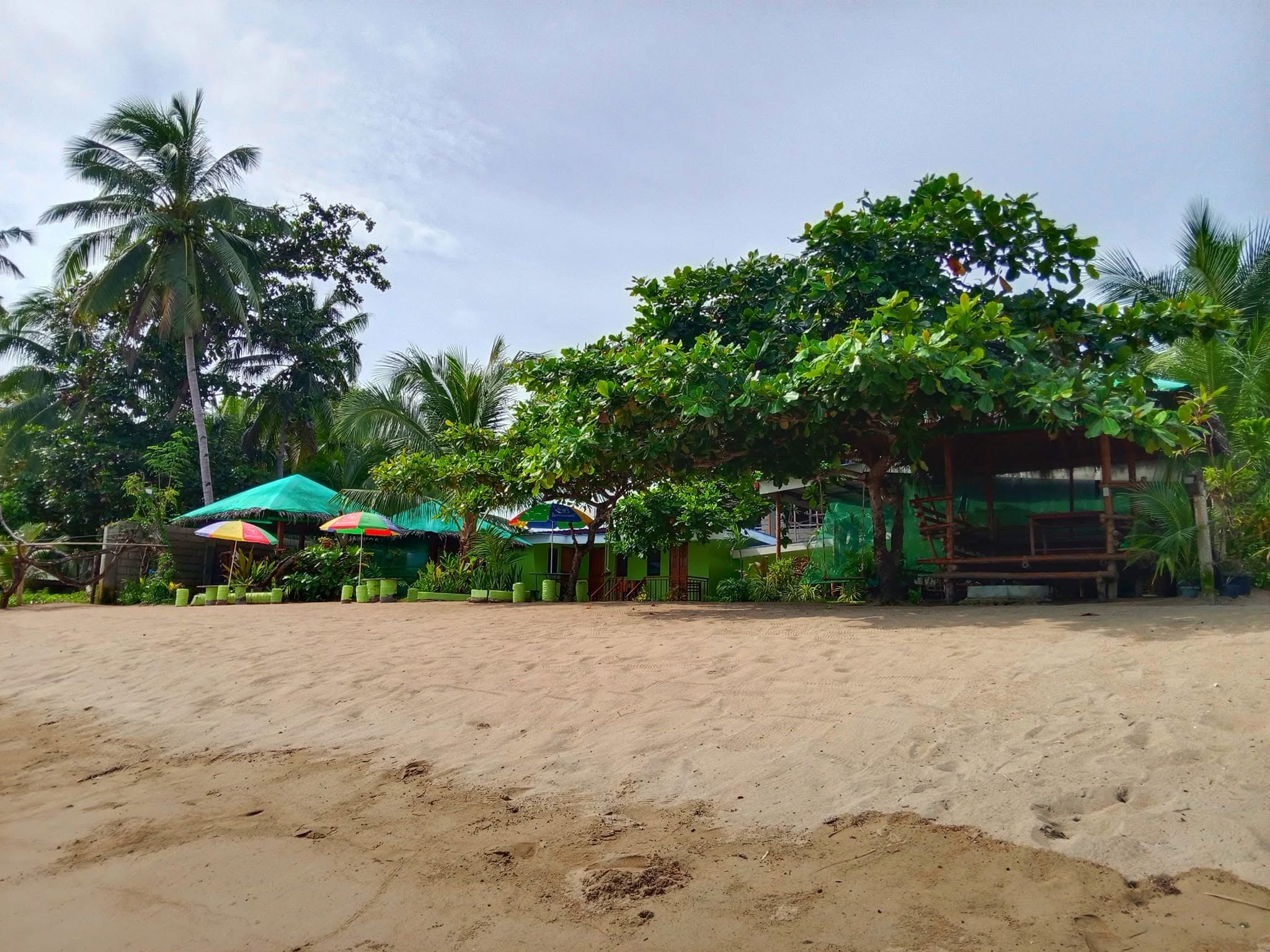 A wider view of the property
