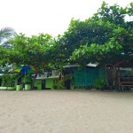 Garden Cabana