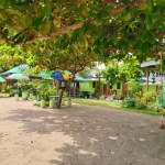 Garden Cabana
