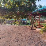 Group Cabana